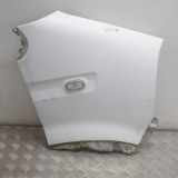 Kotflügel vorne rechts RENAULT MASTER II Furgon (FD) 2.5 dCi 7751475534