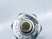 Öldruckmesser VW PASSAT B6 (3C2) 2.0 TDI 16V 03C919081