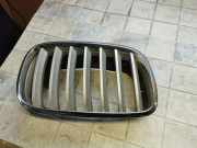 Vorderer oberer Gitter BMW X6 (E71, E72) xDrive 35 d 51137171396
