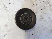 Riemenspanner BMW 3 Cabrio (E46) 318 Ci