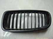 Vorderer oberer Gitter BMW 3 Touring (F31) 328 i 7295443 7295441