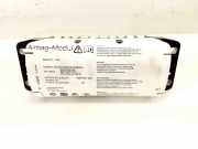 Airbag Knie VW Tiguan I (5N) 1Q0880204