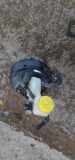 Bremskraftverstärker Nissan X-Trail I (T30) 8H7523604