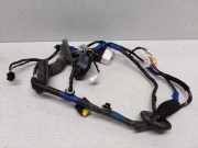 Kabel Tür Hyundai Sonata V (NF) 916103K132