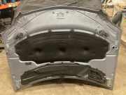 Motorhaube Mercedes-Benz M-Klasse (W164) 1648800057