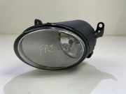 Nebelscheinwerfer links VW PHAETON (3D_) 3.0 V6 TDI 4motion