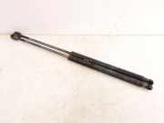 Heckklappe Gasdruckfeder links FIAT BRAVO II (198_) 1.6 D Multijet 51812267