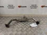 Abgaskühler Subaru Outback III (BL) 14793AA00