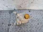 Ausgleichsbehälter CHEVROLET CAPTIVA (C100, C140) 2.0 D 4WD 96837836