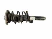 Front left pneumo shock absorber BMW 3 (F30, F80) 320 d xDrive 6791553