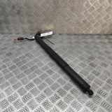 Heckklappe Gasdruckfeder links AUDI Q5 (FY) 40 TDi Quattro 80A827851B