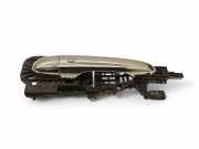 Türaußengriff hinten rechts MASERATI LEVANTE SUV (M161) 3.0 4WD 68194120AB