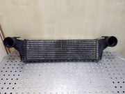 Ladeluftkühler BMW X5 (E53) 1751779123102