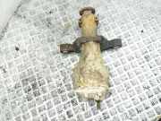 Hinterachsgetriebe Subaru Forester (SH)