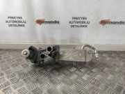 AGR-Kühler VW TIGUAN (5N_) 2.0 TDI 03L131512BB