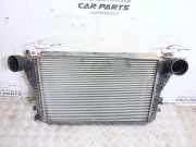 Ladeluftkühler VW Golf V Plus (5M, 521)