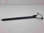 Heckklappe Gasdruckfeder rechts AUDI Q2 (GA) 35 TFSI 81A827851C