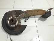 Radnabe hinten VW Tiguan I (5N)