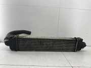 Ladeluftkühler FORD C-MAX (DM2) 1.8 TDCi 1227171