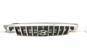 Kühlergrill oben Hyundai H-1 Starex (H-1) 6565
