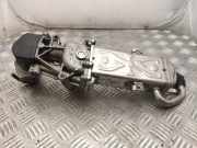 Abgaskühler VW Passat B7 (362) 03L131512CF