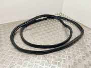 Dichtung für Koffer-/Laderaumklappe Ford Transit Connect V408 Kasten ()