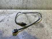 Sauerstoffsensor (Lambdasensor) FORD PUMA (J2K, CF7) 1.0 EcoBoost mHEV L1B19G444AD