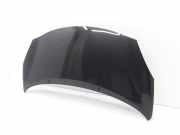 Motorhaube Renault Wind (N) 651006222R