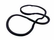 Türgummi rechts vorne Audi A4 (8W, B9) 8W0831721B