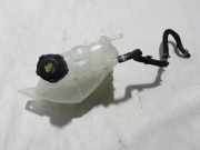 Ausgleichsbehälter RENAULT KOLEOS II 2.0 dCi (HY0K) 217109703R