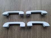 Griff Panoramadach Opel Grandland X (A18) PA6GF30