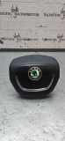Lenkrad Airbag SKODA SUPERB II Estate (3T5) 2.0 TDI 3T0880201B