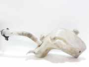 Fensterwaschtank PEUGEOT 307 SW (3H) 1.6 HDI 90 9650452280