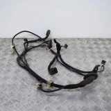 Kabelbaum BMW 6 Coupe (F13) 640 d 9242205