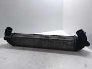 Ladeluftkühler Fiat Doblo Van (119, 223) 46779532