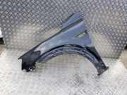 Kotflügel vorne links CHEVROLET CAPTIVA (C100, C140) 2.2 D 4WD