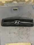 Vorderer oberer Gitter HYUNDAI TUCSON (JM) 2.0 CRDI 4WD 863512E00