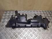 Kühlerluftumlenker CITROËN DS4 1.6 HDi 110 9671970280