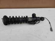 Stoßdämpfer rechts hinten BMW 6er Cabriolet (F12) 6798408