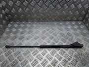 Heckklappe Gasdruckfeder rechts NISSAN QASHQAI / QASHQAI +2 I (J10, JJ10) 1.5 dCi 886140355n 90450jd01c