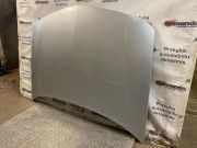 Motorhaube RENAULT LAGUNA II (BG0/1_) 2.2 dCi (BG0F)