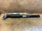 Stoßdämpfer hinten links