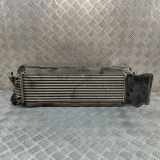 Ladeluftkühler NISSAN NP300 NAVARA Pick-up (D23) 2.3 dCi 4x4 (D231) 14461-4JA0B 14462-4JA0B