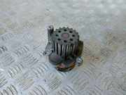 Wasserpumpe Audi A4 (8K, B8) 038121019E