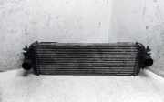 Ladeluftkühler Nissan Primastar Kasten (X83) 7700312903