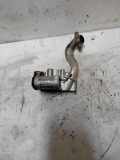 AGR-Ventil RENAULT MASTER III Furgon (FV) 2.3 dCi 100 FWD (FV0A, FV0B, FV0G, FV0K) 95508569
