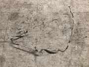 Klimaleitung BMW X1 (E84) sDrive 18 d 9151733