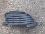 Gitter Grill vorne rechts MERCEDES-BENZ A (W169) A 160 CDI (169.006, 169.306) 169 885 02 22 1698850222