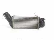 Ladeluftkühler CITROËN DS5 2.0 HDi 165 9674720580