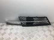 Gitter vorne unten BMW 5 Touring (E61) 525 d 11460915